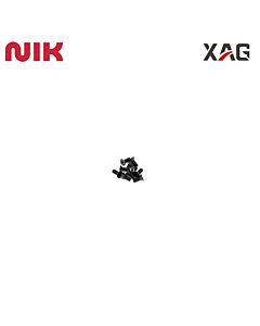 P150MAX M4*10 Screw